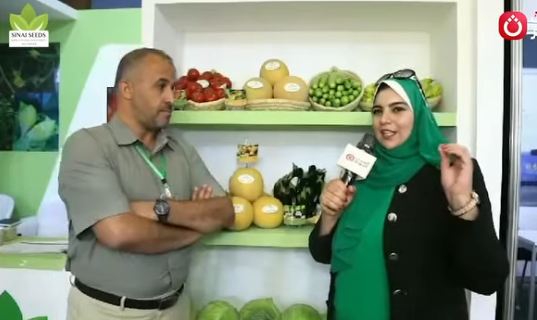 فيديو شركة سينا سيدز
